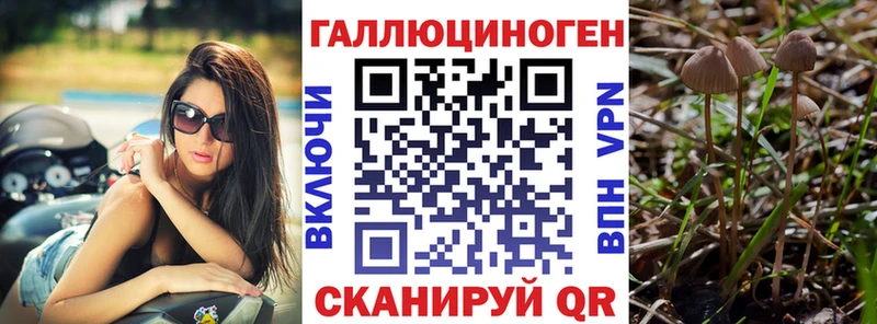 Псилоцибиновые грибы мухоморы  Отрадное 